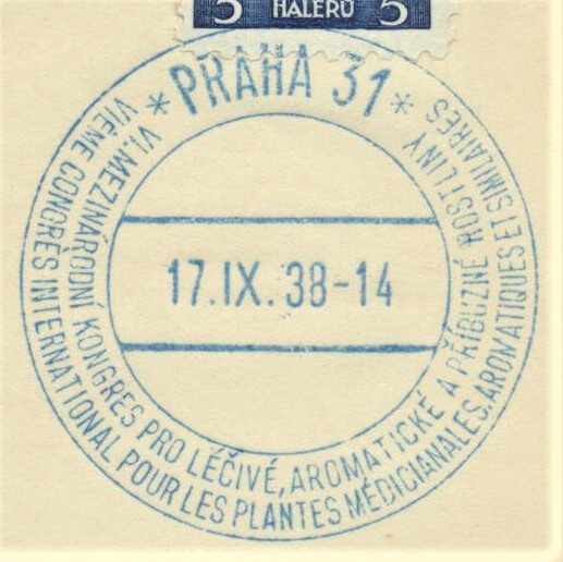 Image of the cancellation type.